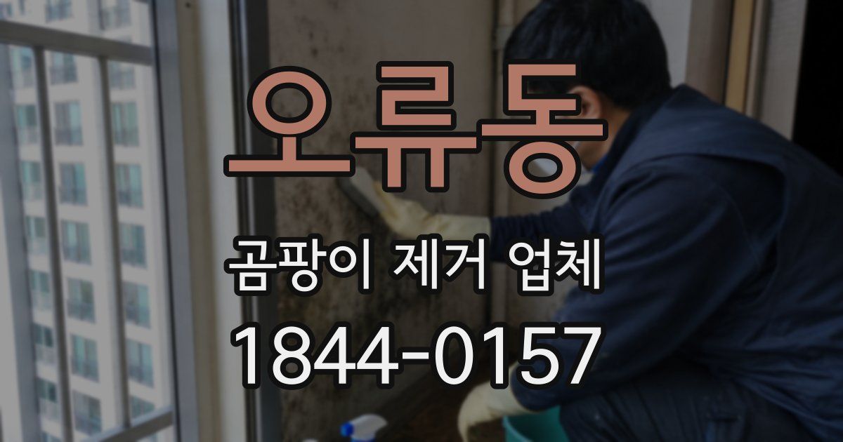 오류동 곰팡이 제거 업체