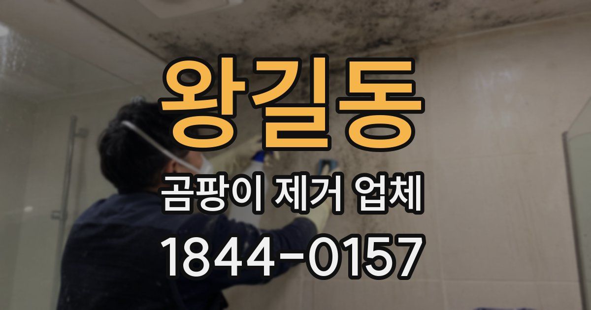 왕길동 곰팡이 제거 업체