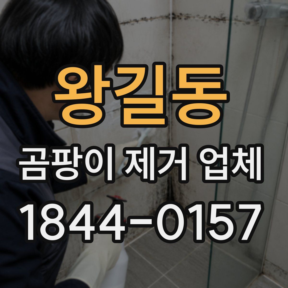 왕길동 곰팡이 제거 업체