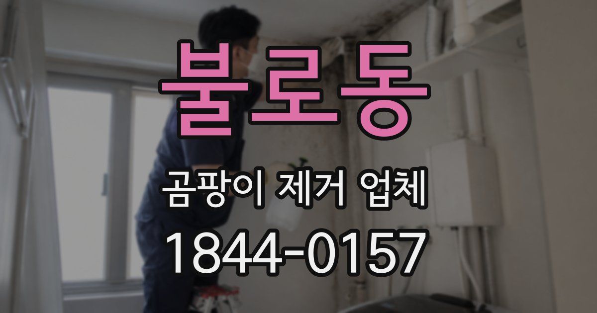 불로동 곰팡이 제거 업체