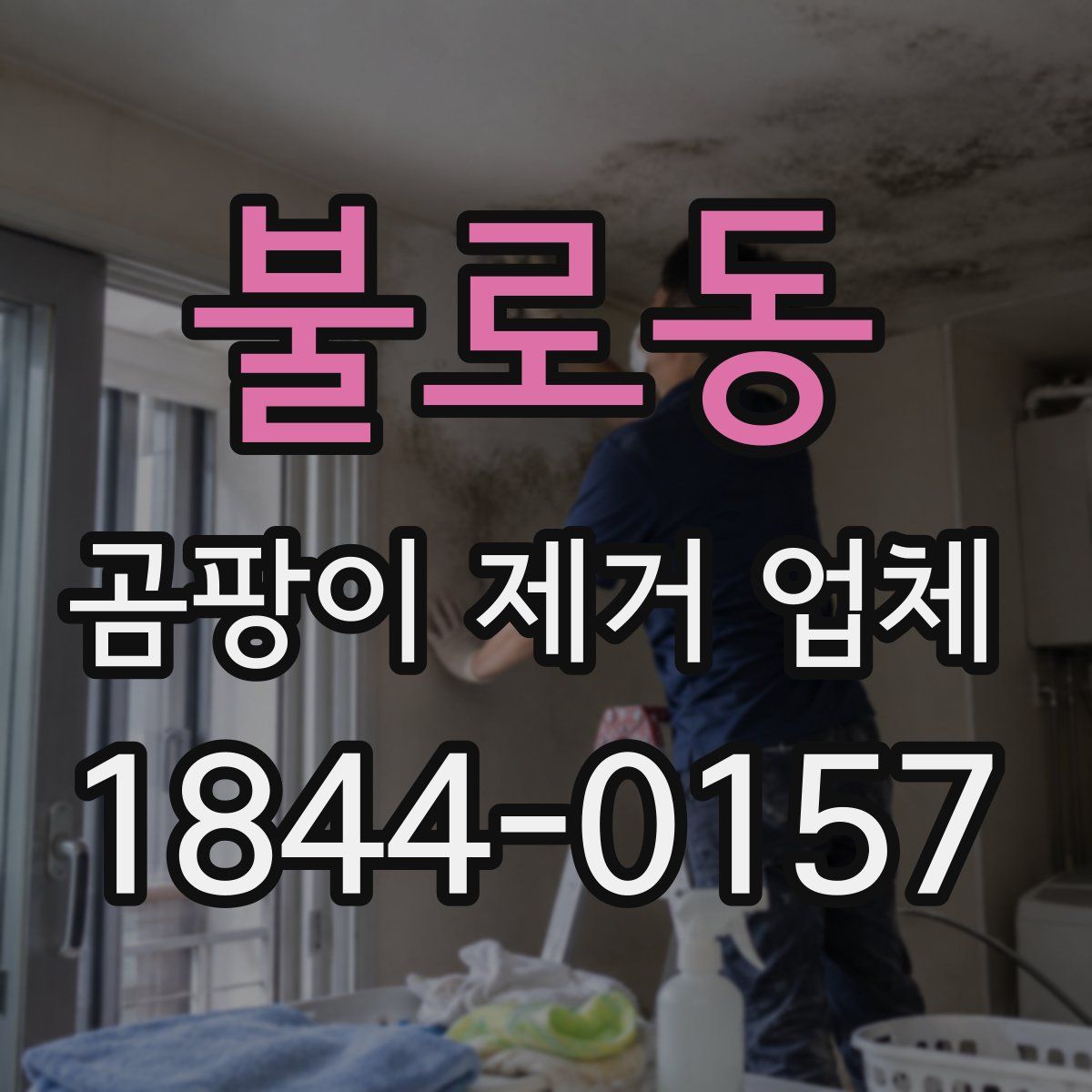 불로동 곰팡이 제거 업체