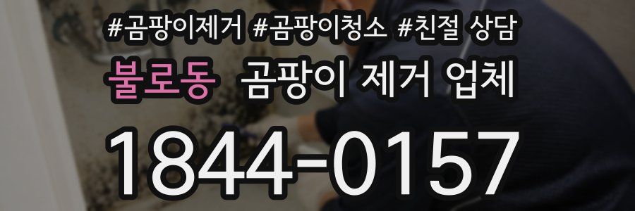 불로동 곰팡이 제거 업체
