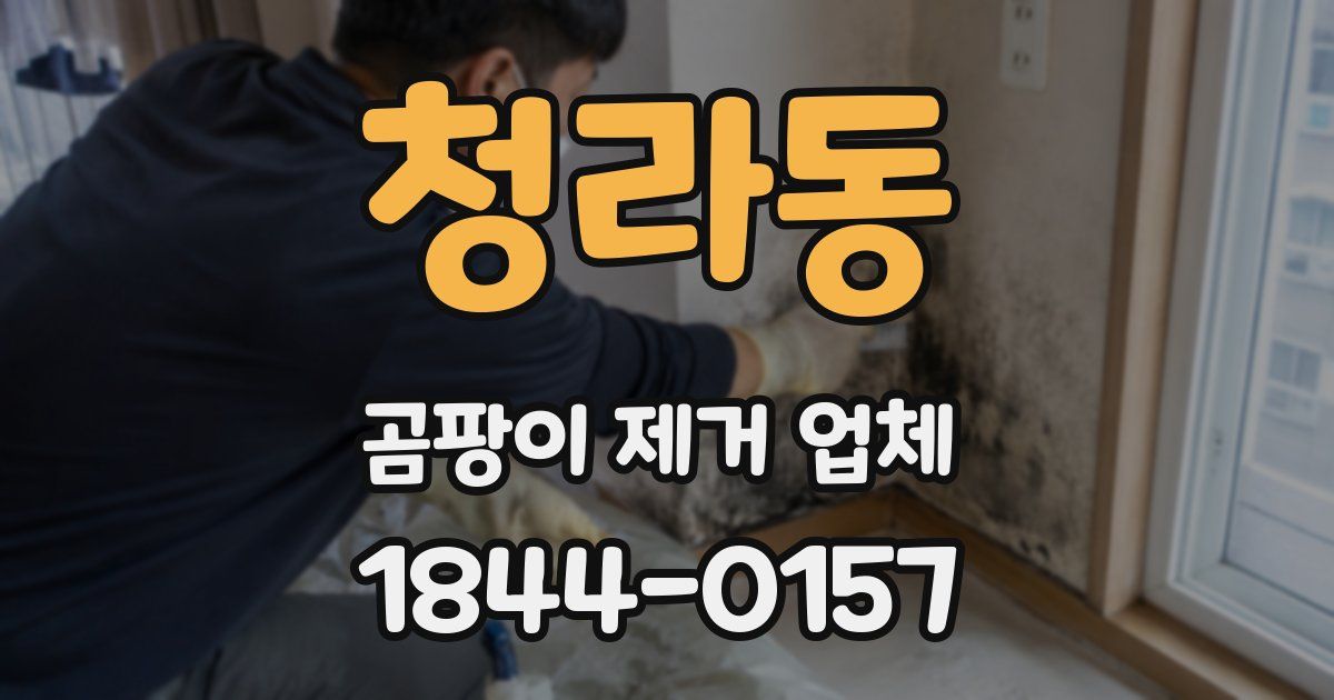 청라동 곰팡이 제거 업체