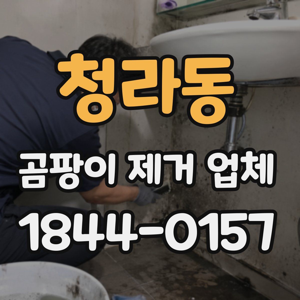 청라동 곰팡이 제거 업체