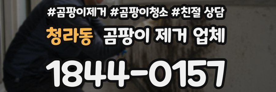 청라동 곰팡이 제거 업체