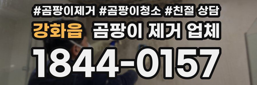 강화읍 곰팡이 제거 업체