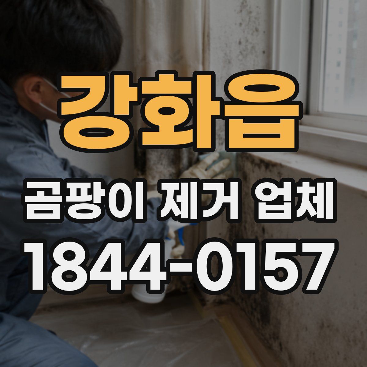 강화읍 곰팡이 제거 업체
