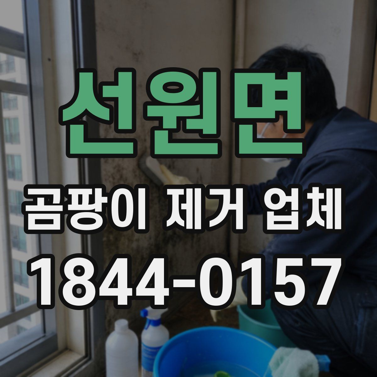 선원면 곰팡이 제거 업체