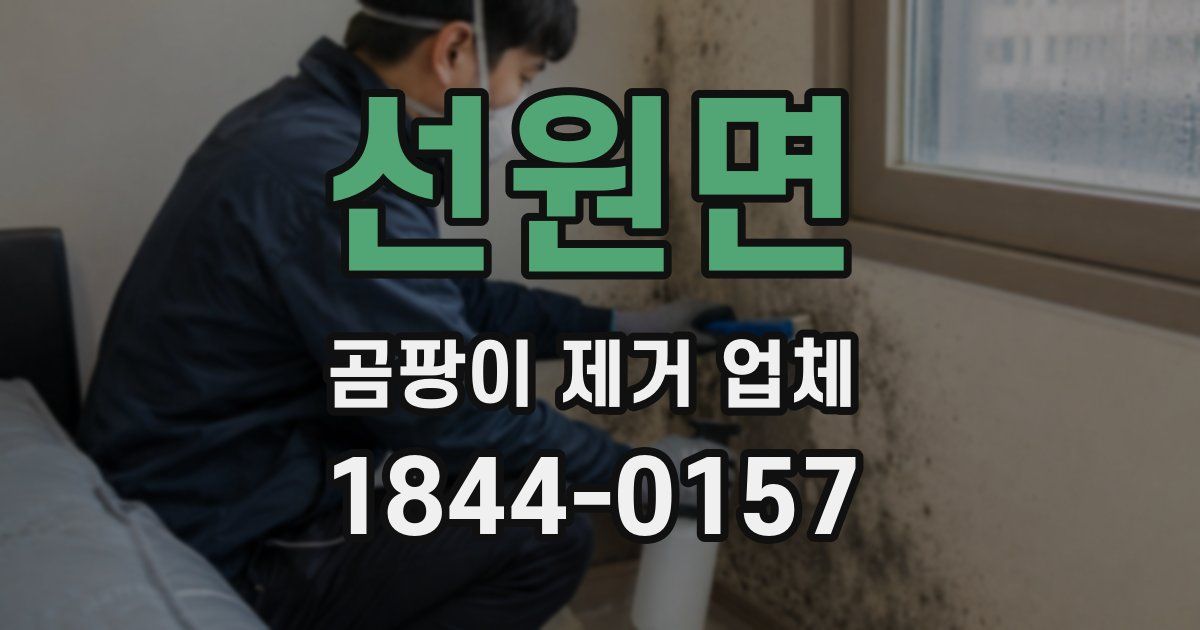 선원면 곰팡이 제거 업체