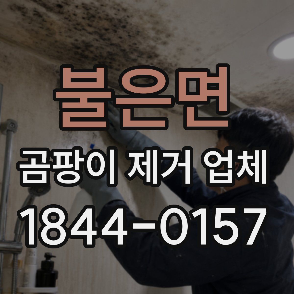 불은면 곰팡이 제거 업체 상담 시 질문 리스트