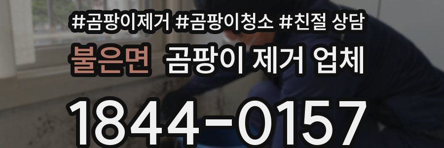불은면 곰팡이 제거 업체