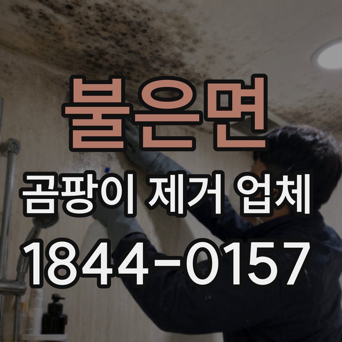 불은면 곰팡이 제거 업체