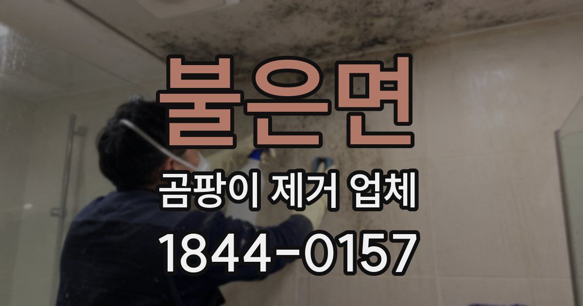 불은면 곰팡이 제거 업체