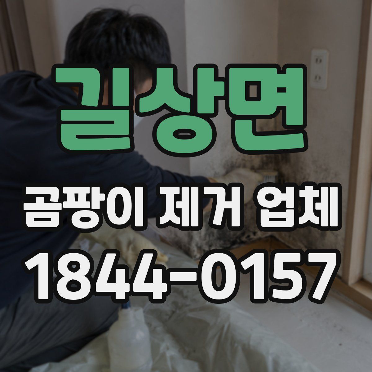 길상면 곰팡이 제거 업체