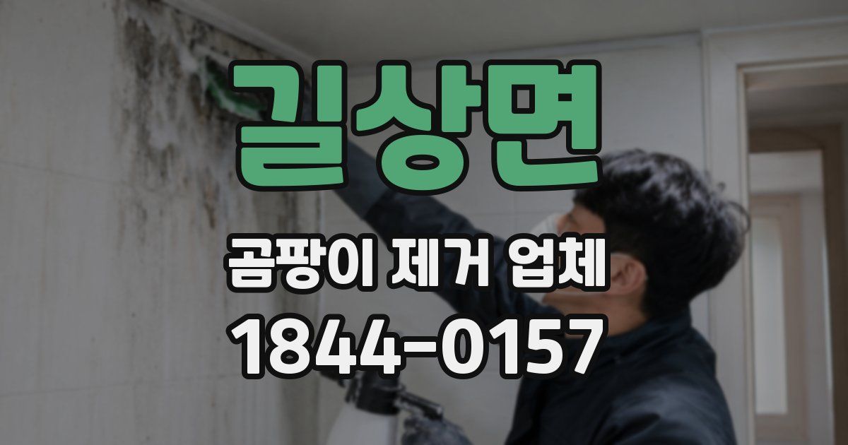 길상면 곰팡이 제거 업체