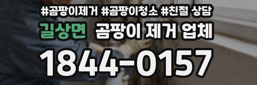 길상면 곰팡이 제거 업체