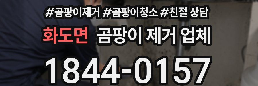 화도면 곰팡이 제거 업체