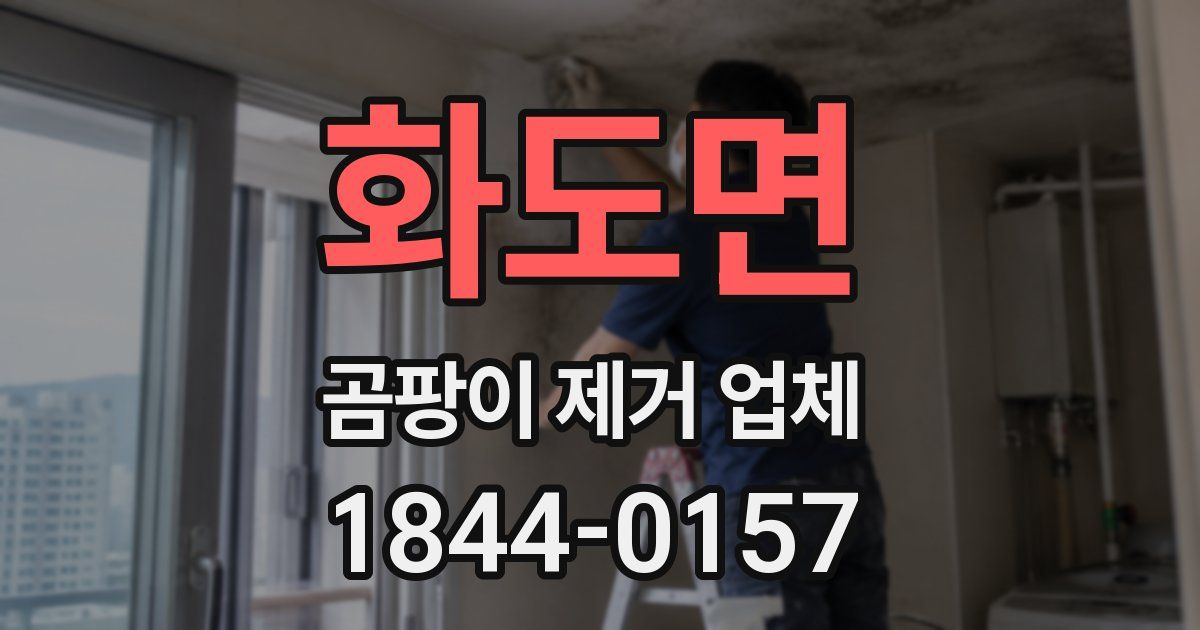 화도면 곰팡이 제거 업체