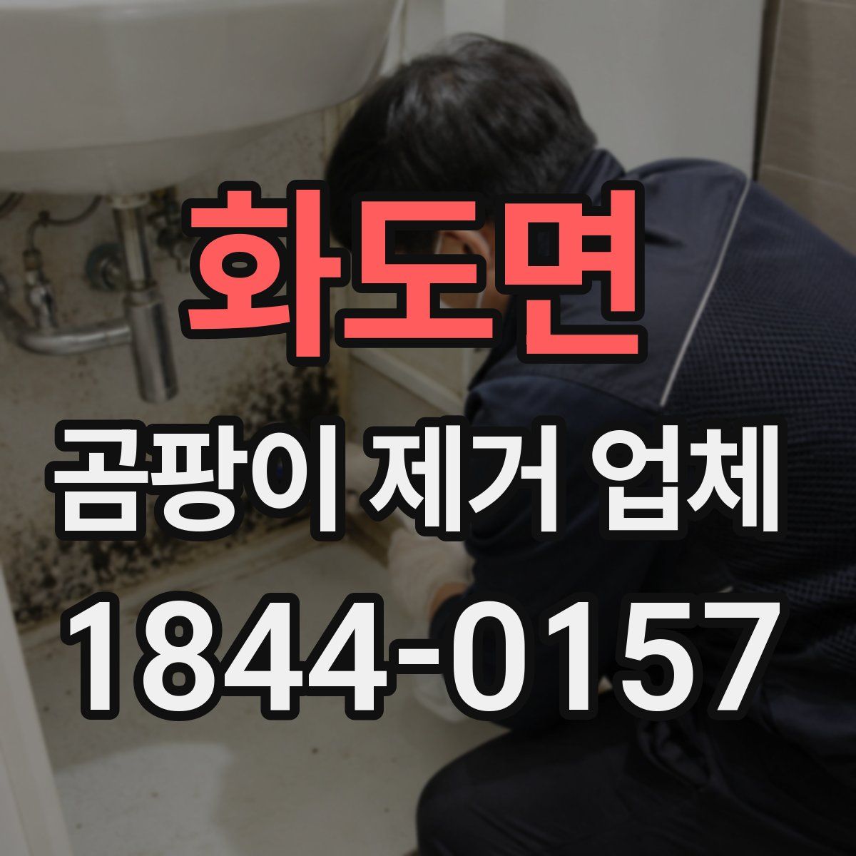 화도면 곰팡이 제거 업체