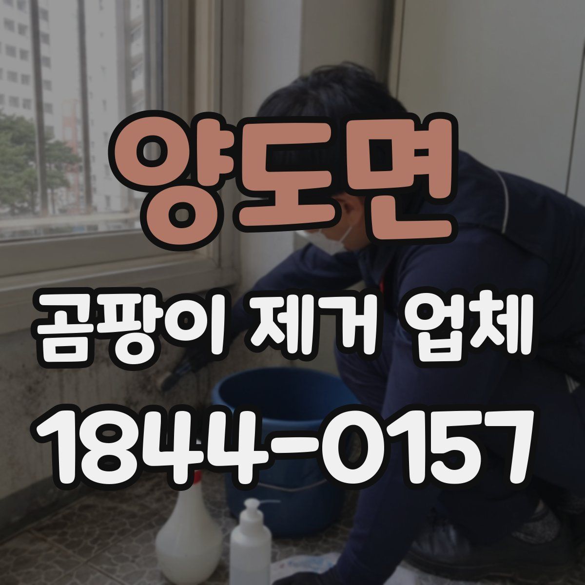 양도면 곰팡이 제거 업체