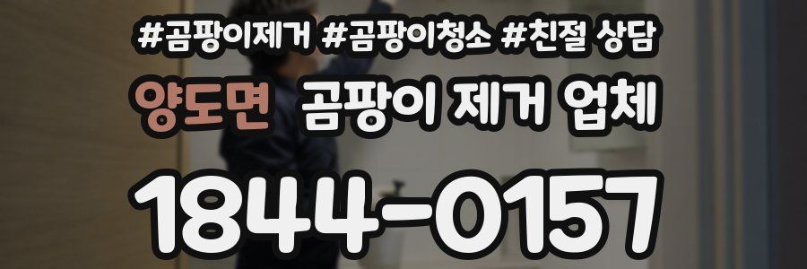 양도면 곰팡이 제거 업체