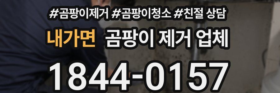 내가면 곰팡이 제거 업체