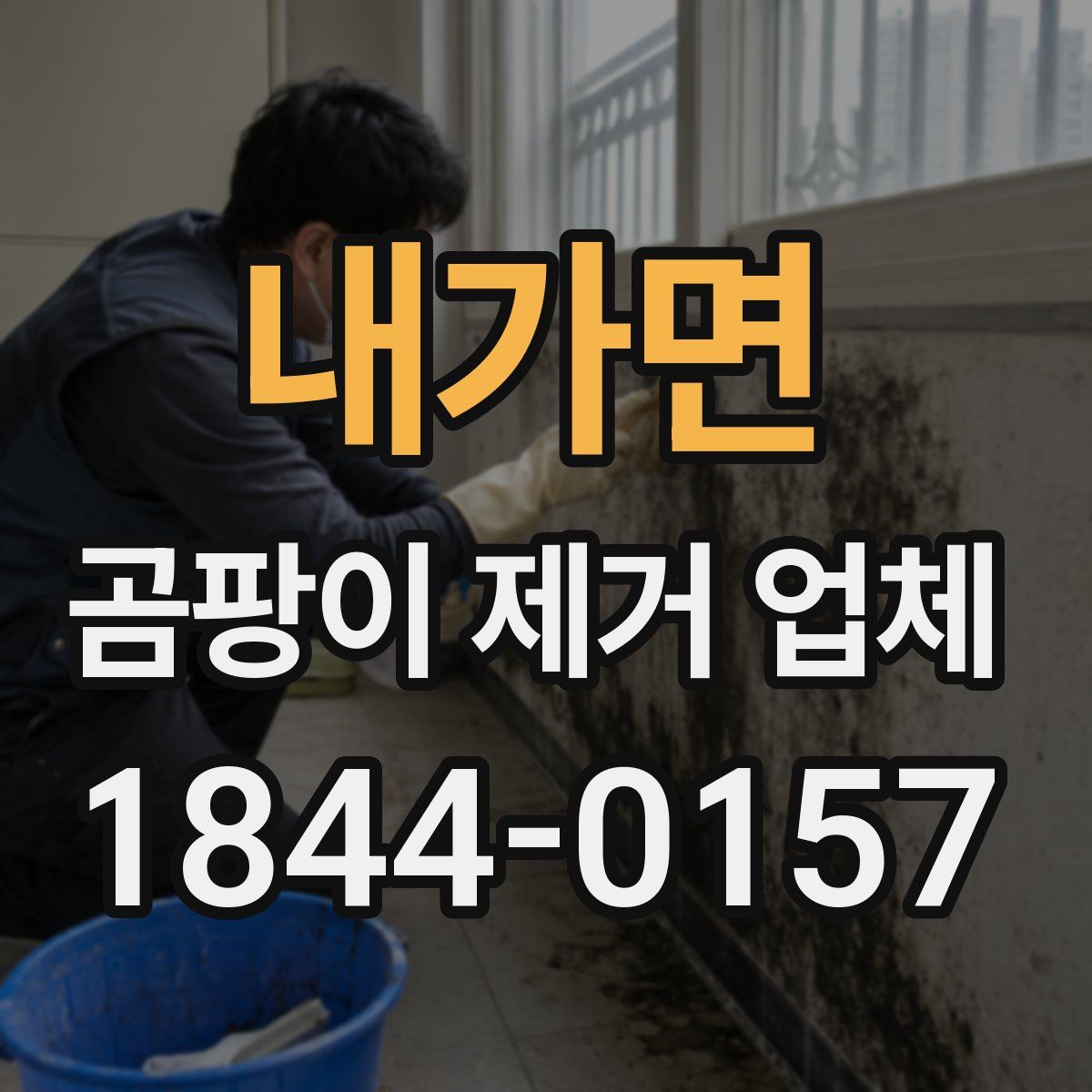 내가면 곰팡이 제거 업체