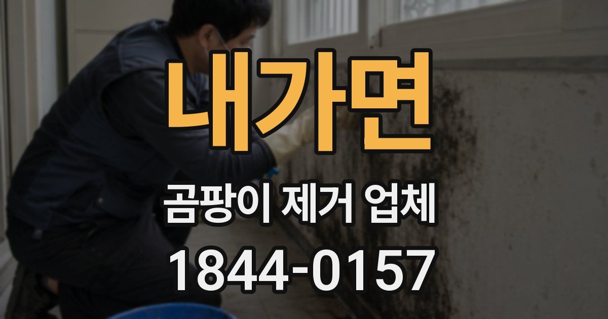 내가면 곰팡이 제거 업체