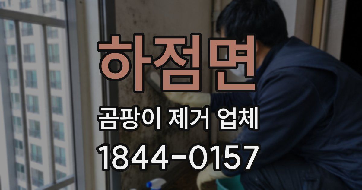 하점면 곰팡이 제거 업체