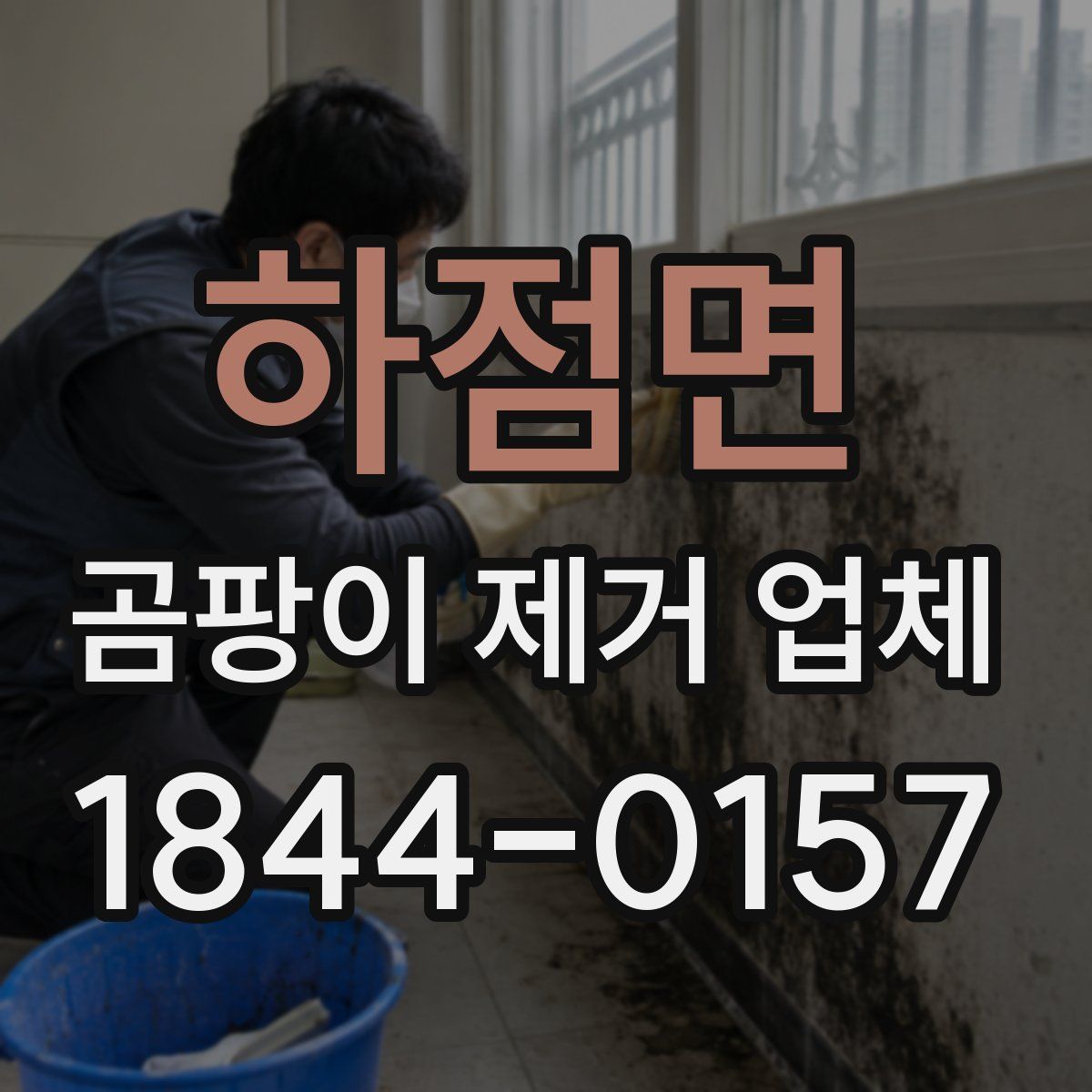 하점면 곰팡이 제거 업체