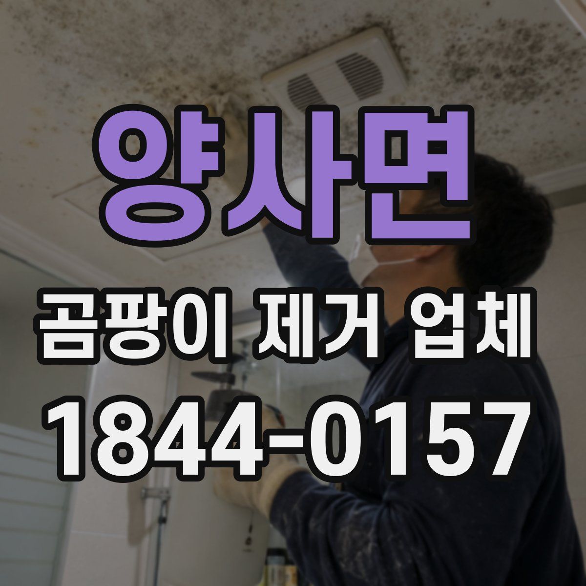양사면 곰팡이 제거 업체