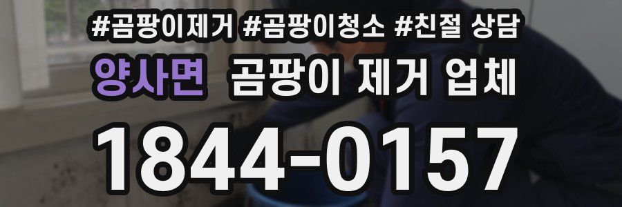 양사면 곰팡이 제거 업체