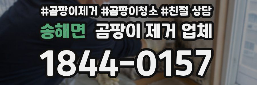 송해면 곰팡이 제거 업체
