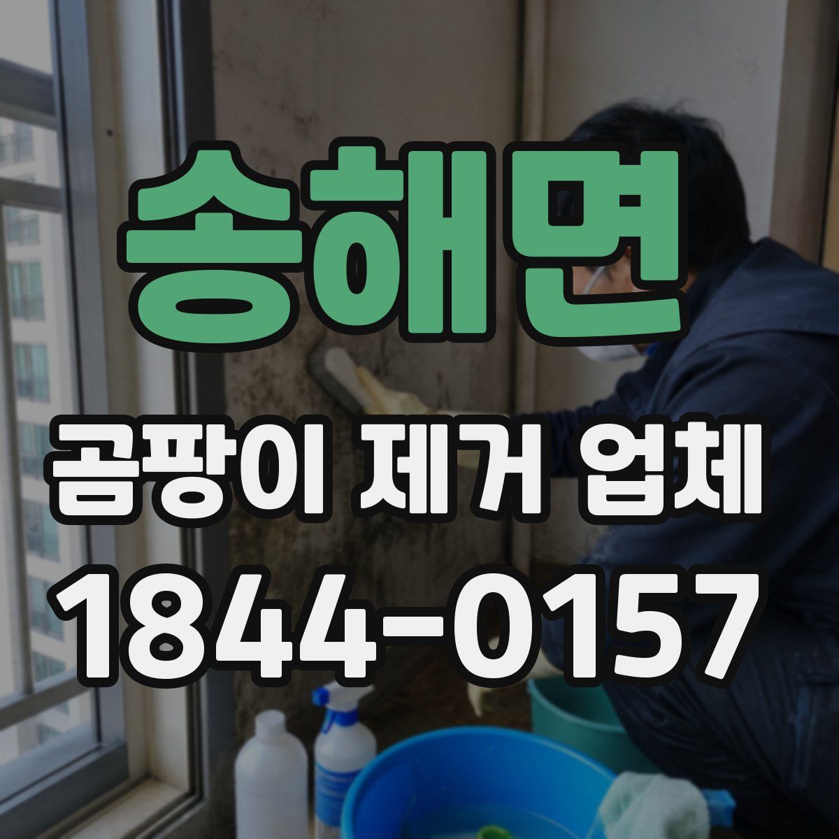송해면 곰팡이 제거 업체