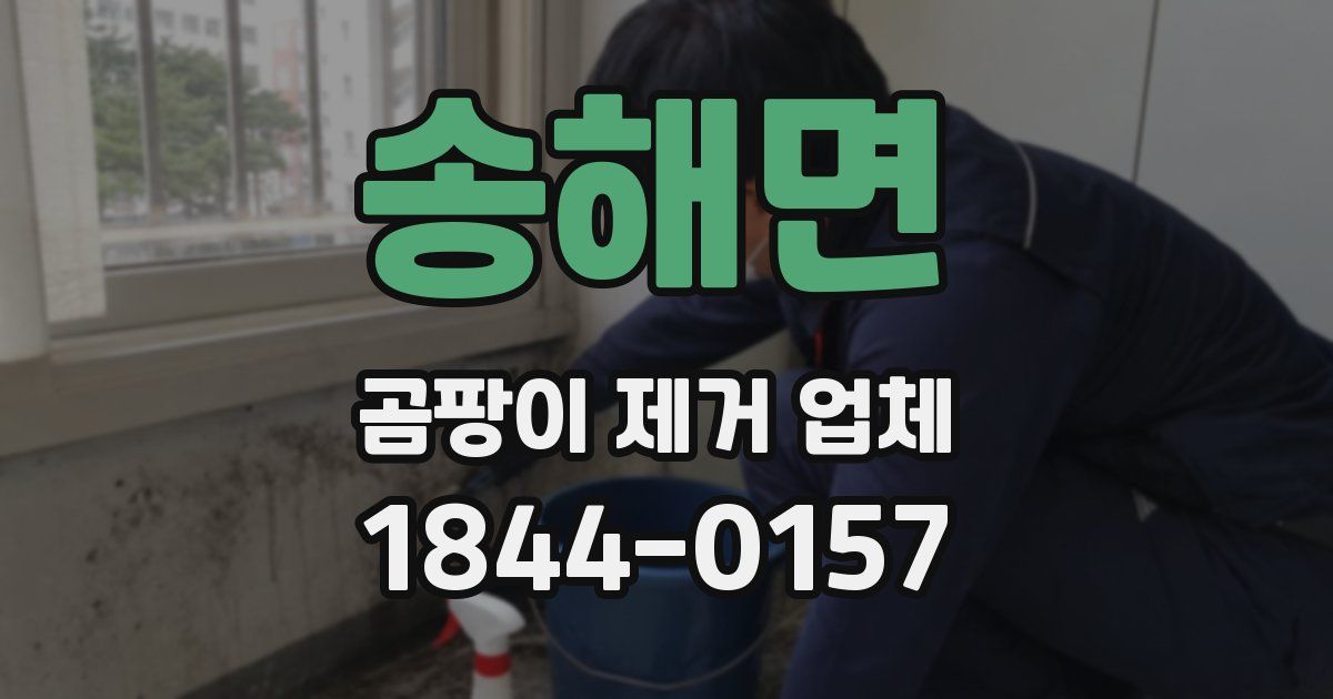 송해면 곰팡이 제거 업체