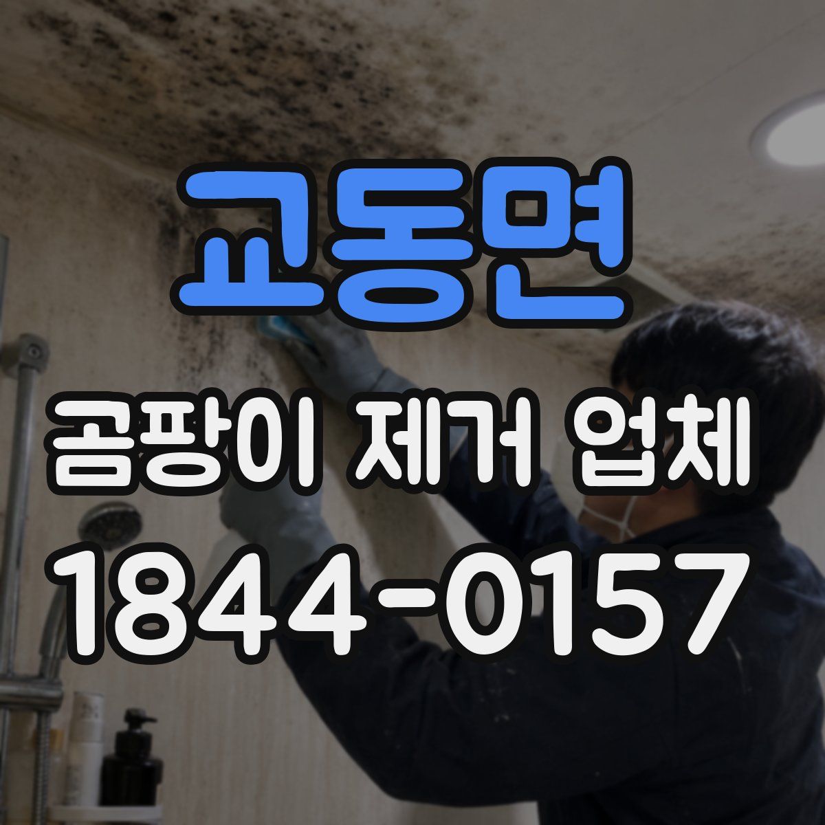 교동면 곰팡이 제거 업체