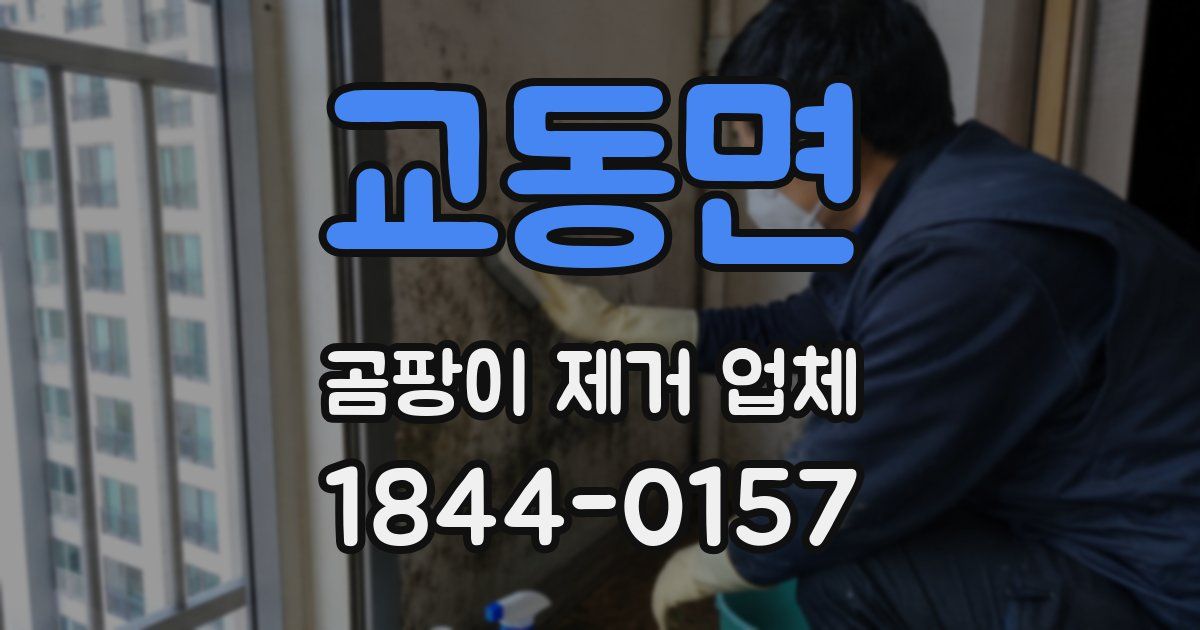 교동면 곰팡이 제거 업체