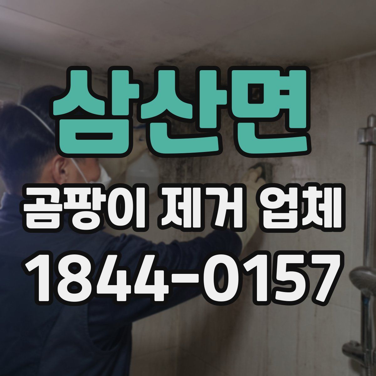 삼산면 곰팡이 제거 업체