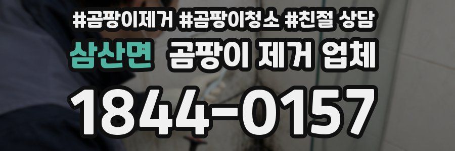 삼산면 곰팡이 제거 업체