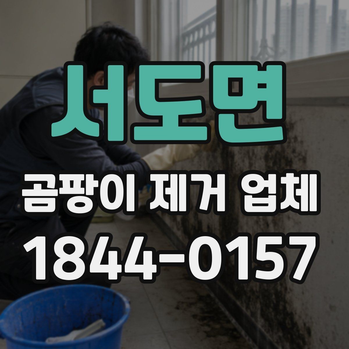 서도면 곰팡이 제거 업체 이용 시 일정 조율이 중요한 이유