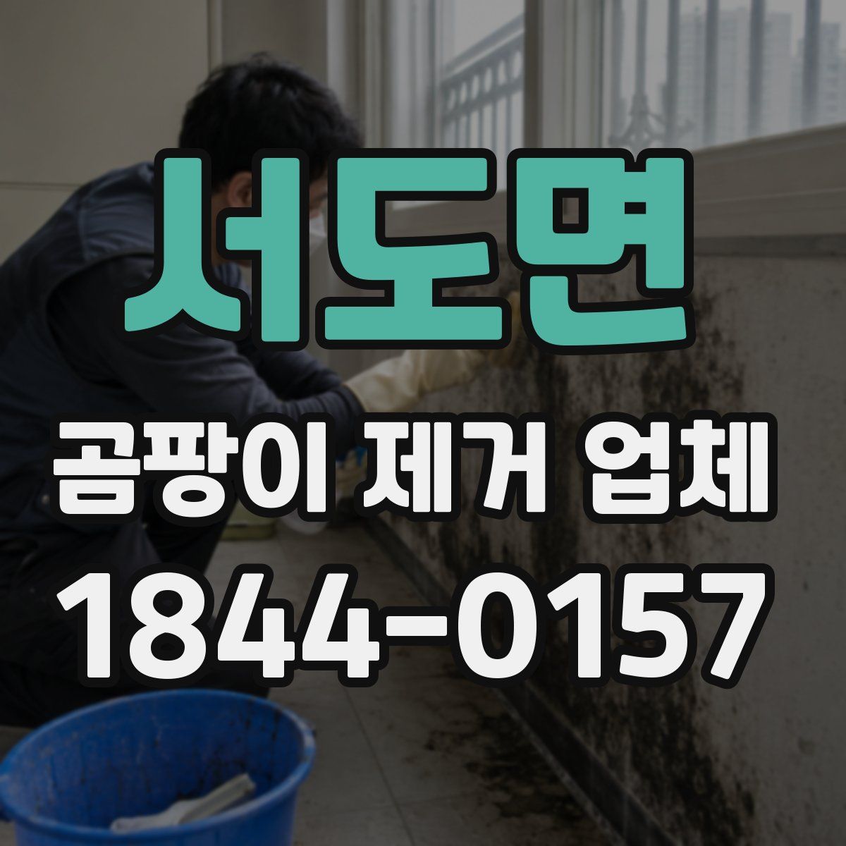 서도면 곰팡이 제거 업체
