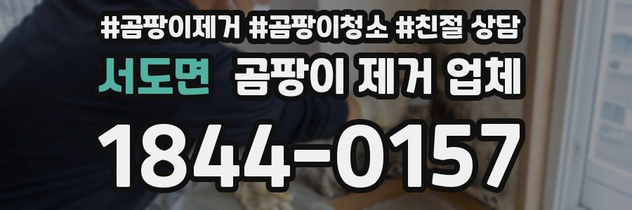 서도면 곰팡이 제거 업체
