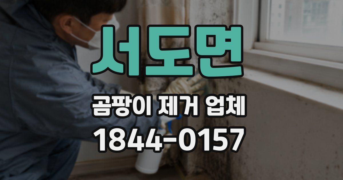 서도면 곰팡이 제거 업체