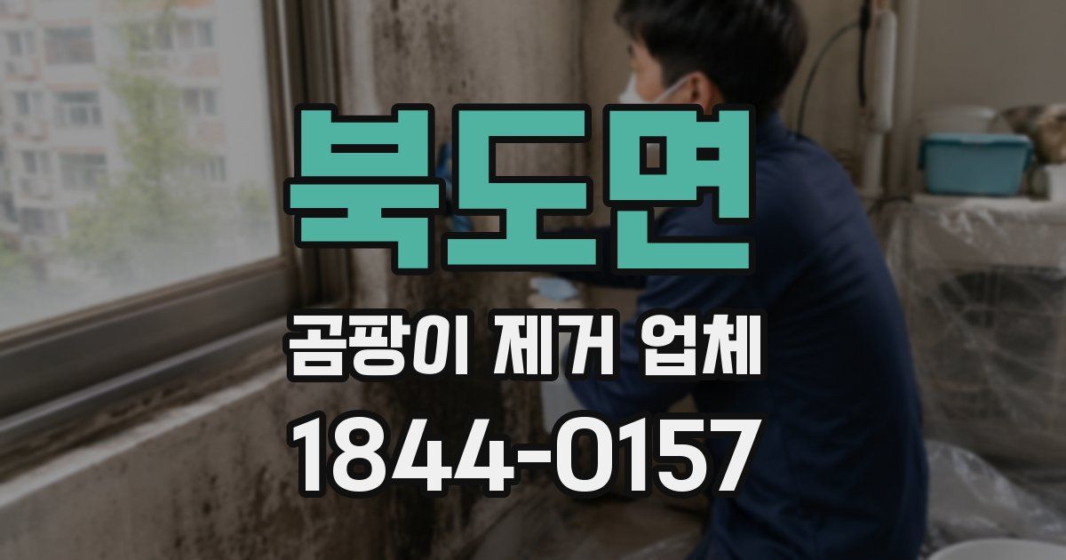 북도면 곰팡이 제거 업체