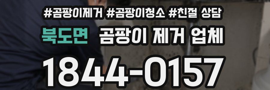 북도면 곰팡이 제거 업체