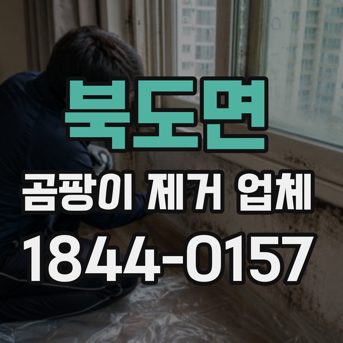 북도면 곰팡이 제거 업체