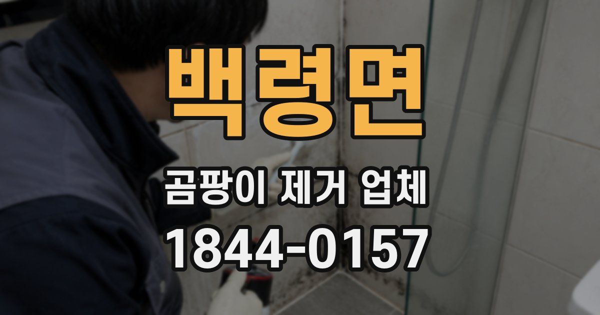 백령면 곰팡이 제거 업체