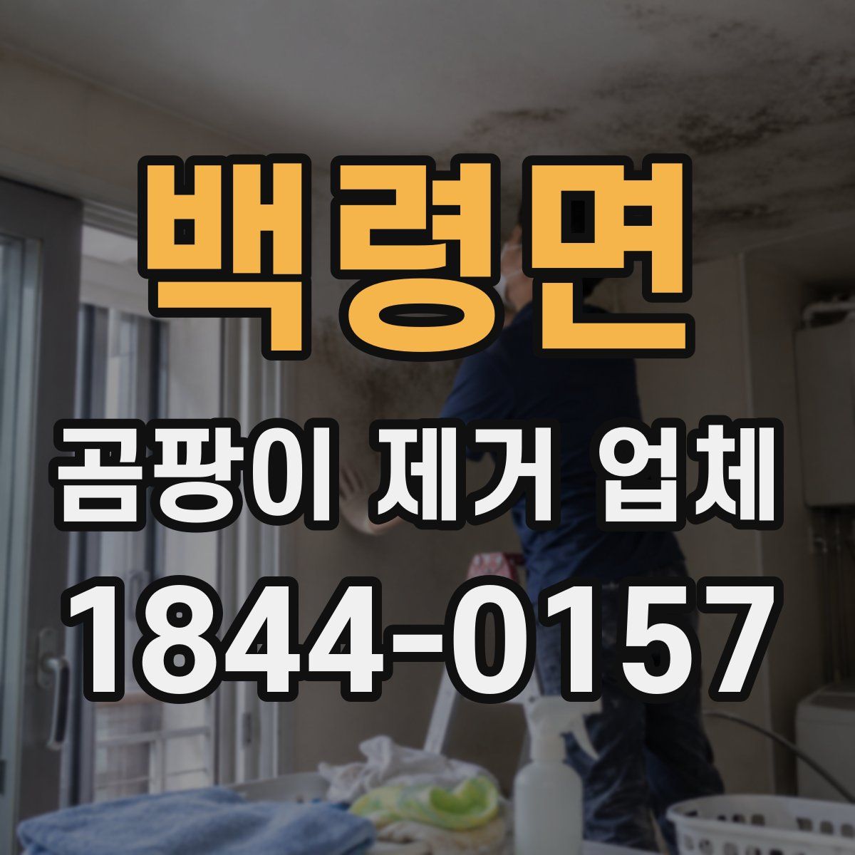 백령면 곰팡이 제거 업체