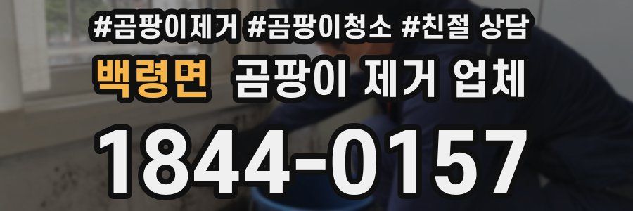 백령면 곰팡이 제거 업체