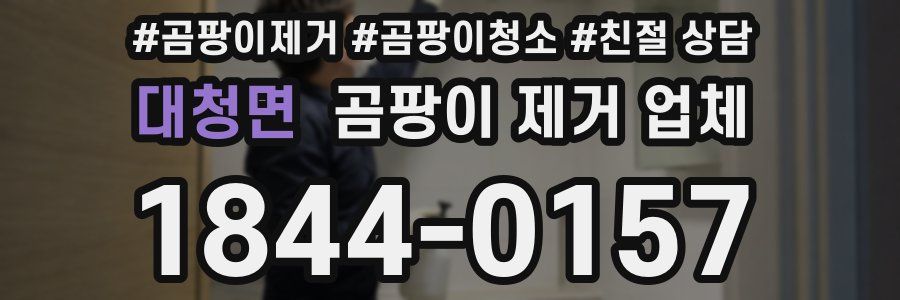 대청면 곰팡이 제거 업체